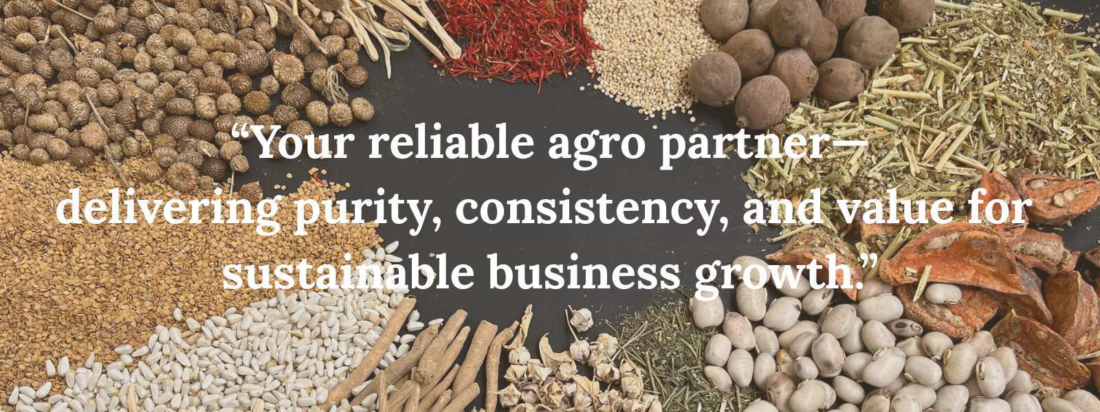 Trust, Quality, Tradition (1500 x 800 px) (1600 x 600 px) (1)