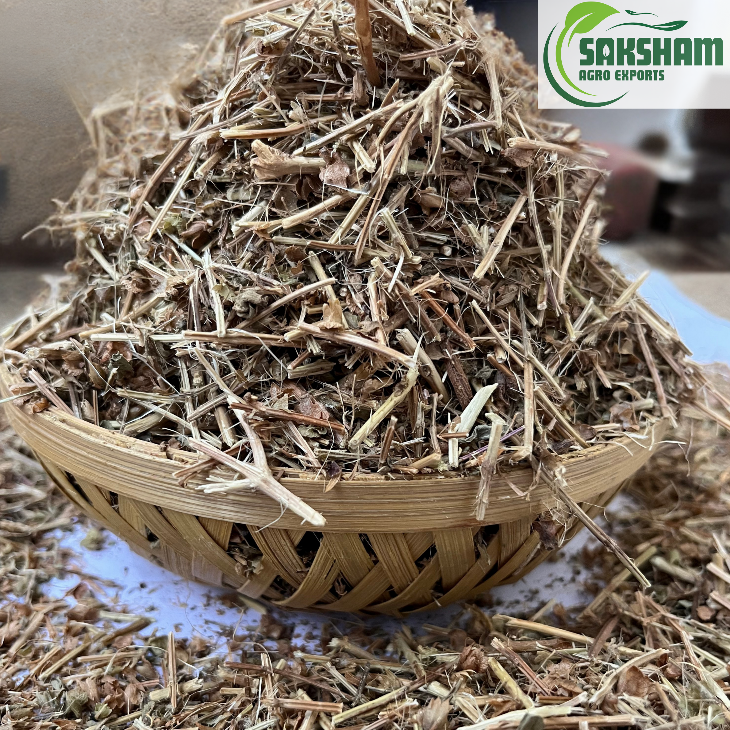 Tulsi pachang