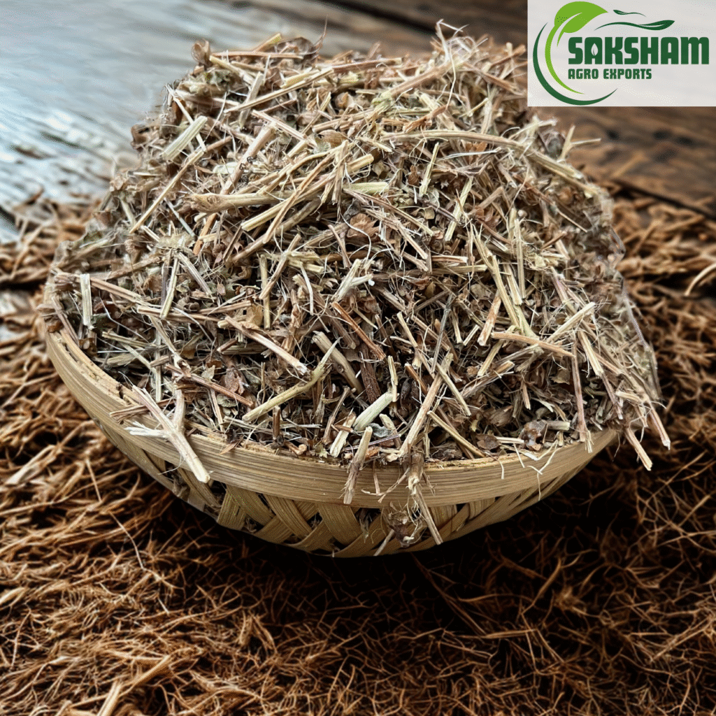 tulsi pachrang
