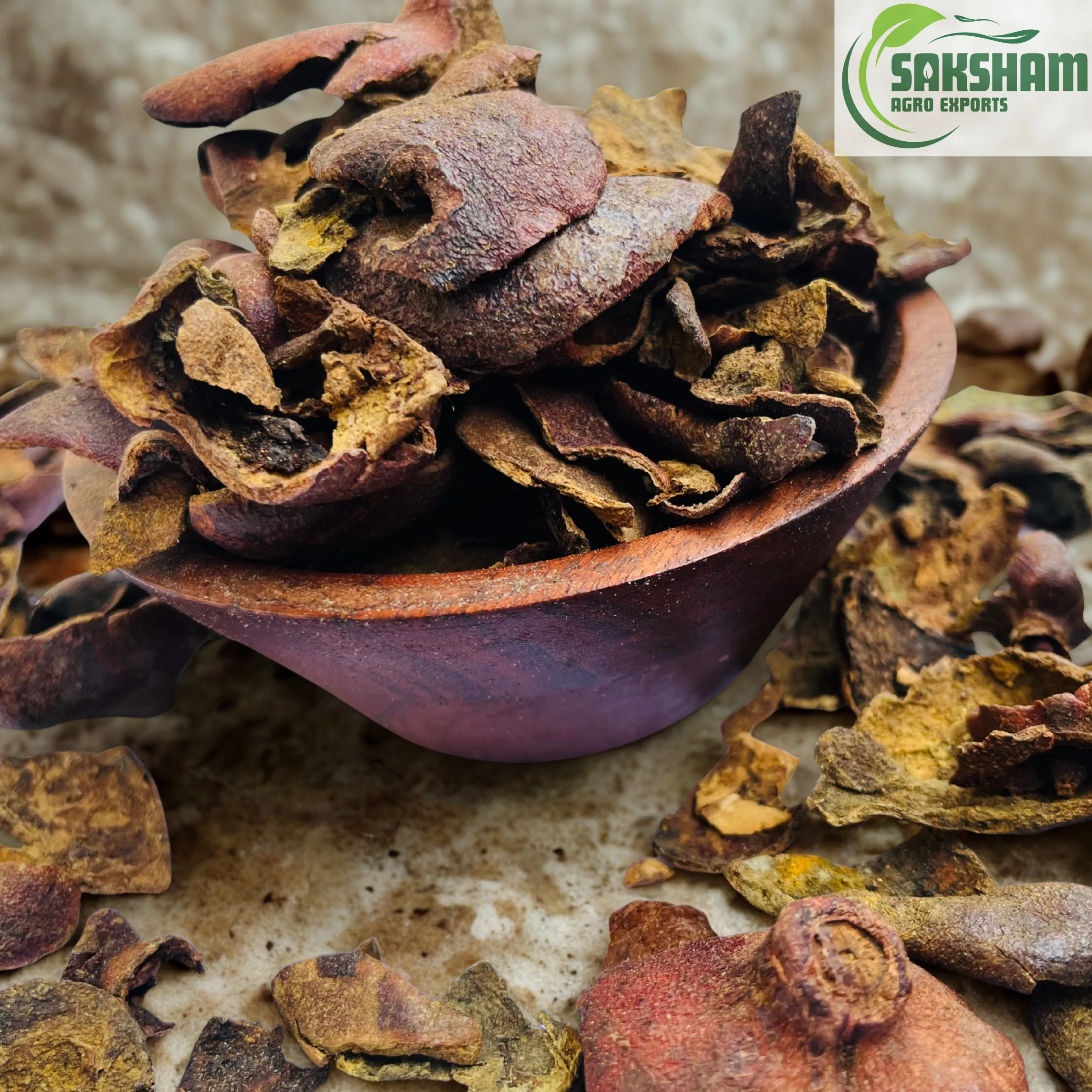 Untitled design - 2025-09-05T173324.507